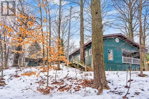 5545 Wesson Road, New Tecumseth, ON - Outdoor