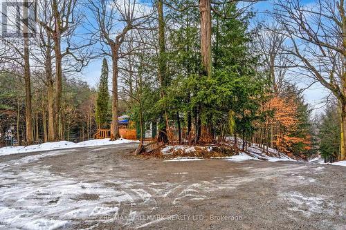 5545 Wesson Road, New Tecumseth, ON - Outdoor With View