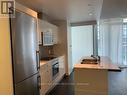 2110 - 88 Park Lawn Road, Toronto, ON  - Indoor Photo Showing Kitchen With Double Sink 