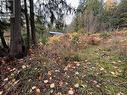 Lot 150 Anglemont Drive, Anglemont, BC 