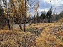 Lot 150 Anglemont Drive, Anglemont, BC 