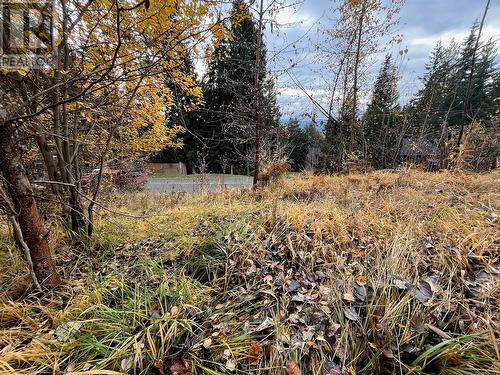 Lot 150 Anglemont Drive, Anglemont, BC 