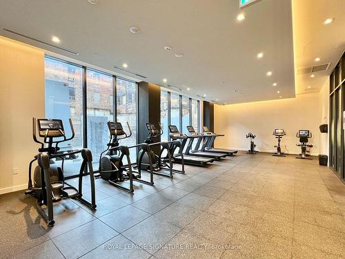 609-9 Tecumseth St, Toronto, ON - Indoor Photo Showing Gym Room