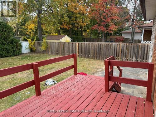 Main - 8 Gladys Road, Toronto, ON - Outdoor With Deck Patio Veranda