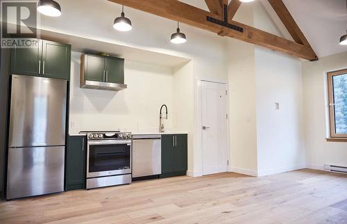 1005 Basin Lane, Revelstoke, BC - Indoor Photo Showing Kitchen