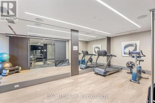 233 - 20 Fred Varley Drive, Markham, ON - Indoor Photo Showing Gym Room