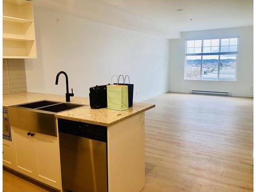 A405 20487 65 Avenue, Langley, BC - Indoor Photo Showing Kitchen With Double Sink