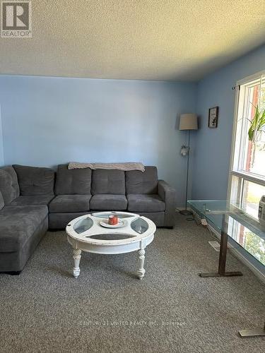 447 Edison Avenue, Peterborough (Otonabee), ON - Indoor Photo Showing Living Room