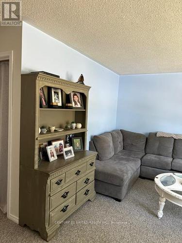 447 Edison Avenue, Peterborough (Otonabee), ON - Indoor Photo Showing Living Room