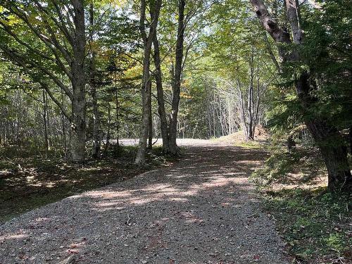 Lot 340 Highway, Hassett, NS 