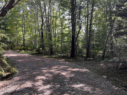 Lot 340 Highway, Hassett, NS 