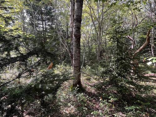 Lot 340 Highway, Hassett, NS 