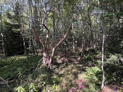 Lot 340 Highway, Hassett, NS 