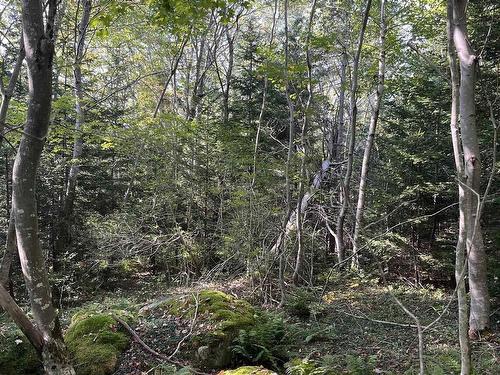 Lot 340 Highway, Hassett, NS 