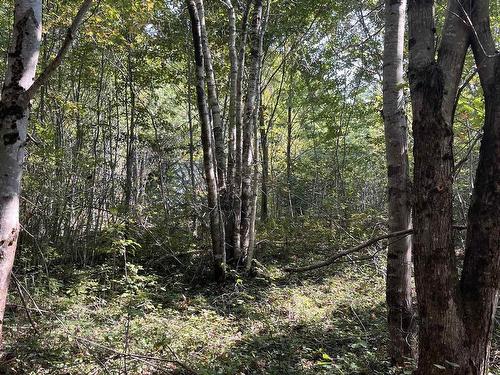 Lot 340 Highway, Hassett, NS 