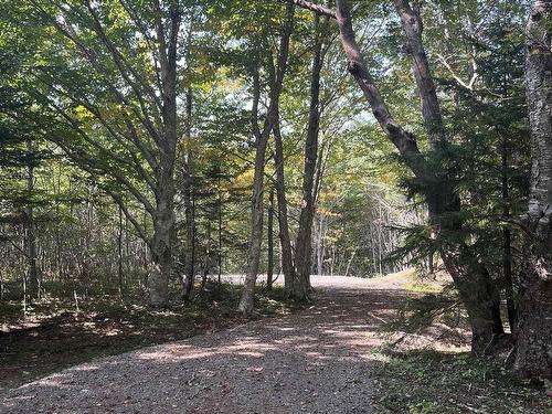 Lot 340 Highway, Hassett, NS 