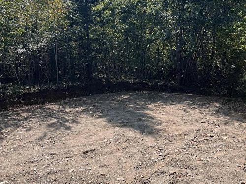 Lot 340 Highway, Hassett, NS 