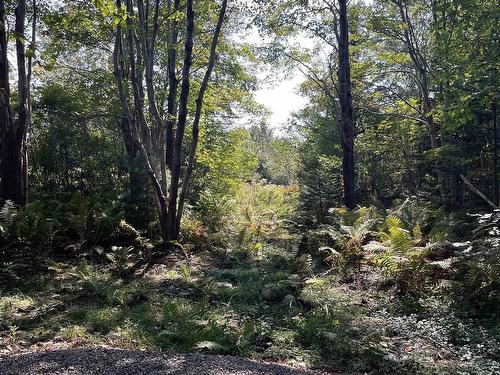 Lot 340 Highway, Hassett, NS 