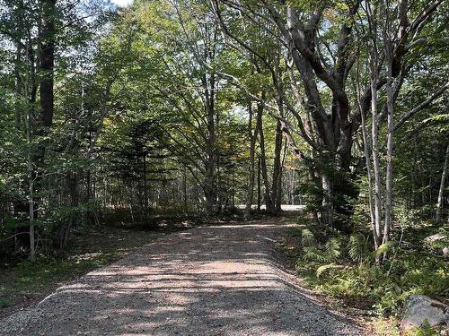 Lot 340 Highway, Hassett, NS 