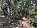 Lot 340 Highway, Hassett, NS 