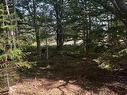 Lot 340 Highway, Hassett, NS 