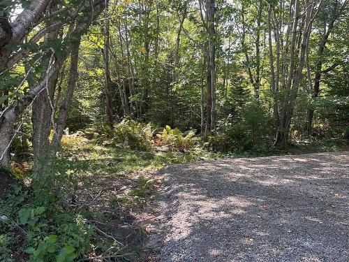 Lot 340 Highway, Hassett, NS 