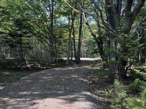 Lot 340 Highway, Hassett, NS 