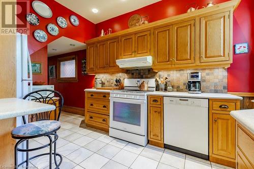 80 Stanley Avenue, Hamilton, ON - Indoor Photo Showing Kitchen