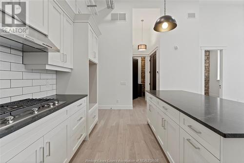 247 Brock Street Unit# 204, Amherstburg, ON - Indoor Photo Showing Kitchen With Upgraded Kitchen