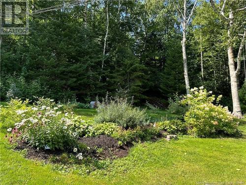 49 Pembroke Crescent, Fredericton, NB - Outdoor