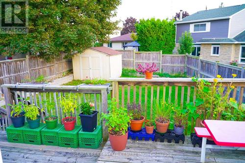 11 Wheatfield Crescent, Kitchener, ON - Outdoor With Deck Patio Veranda