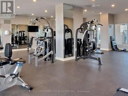 112E - 555 Wilson Avenue, Toronto, ON - Indoor Photo Showing Gym Room