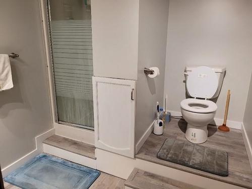 8 Schmidt Crescent, Dryden, ON - Indoor Photo Showing Bathroom