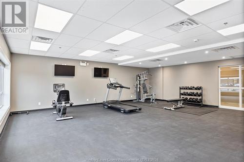 11870 Tecumseh Road East Unit# 205, Tecumseh, ON - Indoor Photo Showing Gym Room