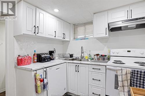 456 Askin Avenue Unit# Lower, Windsor, ON - Indoor Photo Showing Kitchen With Double Sink