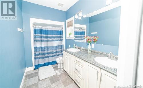 9506 Route 8 Highway, Blissfield, NB - Indoor Photo Showing Bathroom