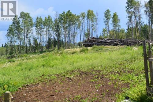 1245 Monckton Road, Smithers, BC - Outdoor With View