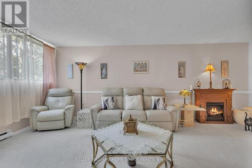 206 - 93 Westwood Road, Guelph, ON - Indoor Photo Showing Living Room With Fireplace