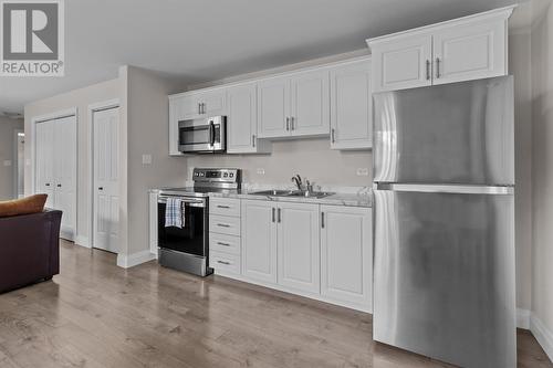 180 Diamond Marsh Drive, St. John'S, NL - Indoor Photo Showing Kitchen With Double Sink