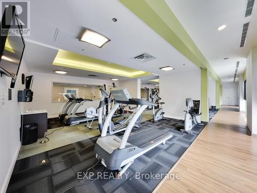 226 - 50 Lynn Williams Street, Toronto (Niagara), ON - Indoor Photo Showing Gym Room