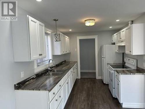 190 Harvey Street, Harbour Grace, NL - Indoor Photo Showing Kitchen With Double Sink