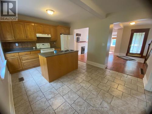 370 Victoria Street, London, ON - Indoor Photo Showing Kitchen With Double Sink