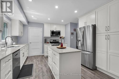 245 Chittick Crescent, Thames Centre (Dorchester), ON - Indoor Photo Showing Kitchen With Stainless Steel Kitchen With Double Sink With Upgraded Kitchen