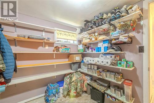 1375 Hallmark, Windsor, ON - Indoor With Storage