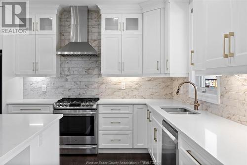 339 Benjamin, Belle River, ON - Indoor Photo Showing Kitchen With Double Sink With Upgraded Kitchen