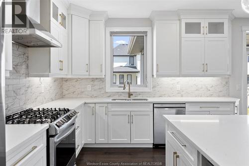 339 Benjamin, Belle River, ON - Indoor Photo Showing Kitchen With Upgraded Kitchen