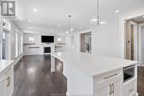 339 Benjamin, Belle River, ON - Indoor Photo Showing Kitchen With Upgraded Kitchen