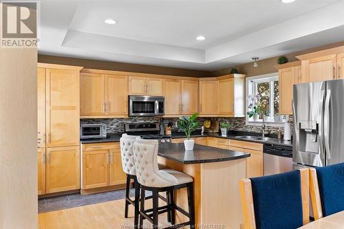 4817 Barcelona Crescent, Windsor, ON - Indoor Photo Showing Kitchen With Stainless Steel Kitchen With Double Sink