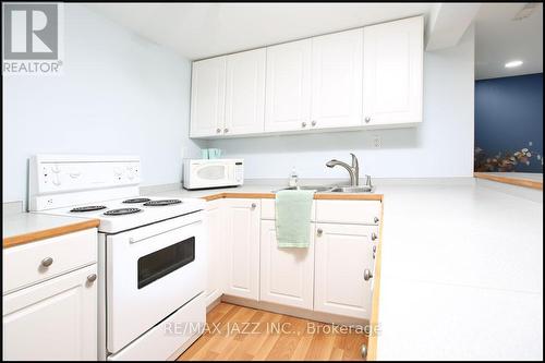 251 Troy Street, Mississauga (Mineola), ON - Indoor Photo Showing Kitchen