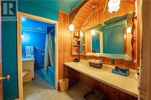 23 Montcalm Street, Greater Sudbury, ON - Indoor Photo Showing Bathroom